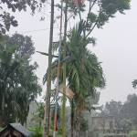 Surajit Dhar