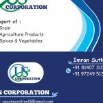 U s corporation