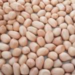 ANURAG PROTEINS