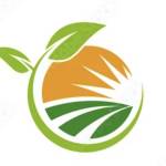 Divashi Foods
