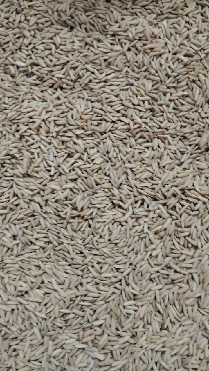 Kinjal muskan enterprises